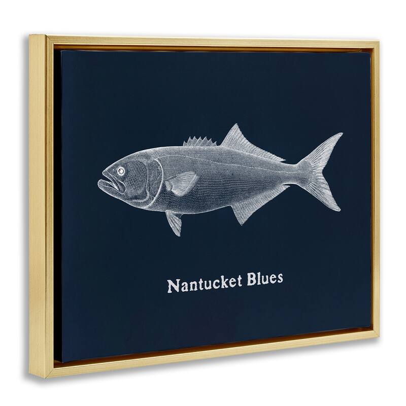 Stupell Nantucket Blues Fish Framed Floater Canvas Wall Art Design By Phillipa Katz