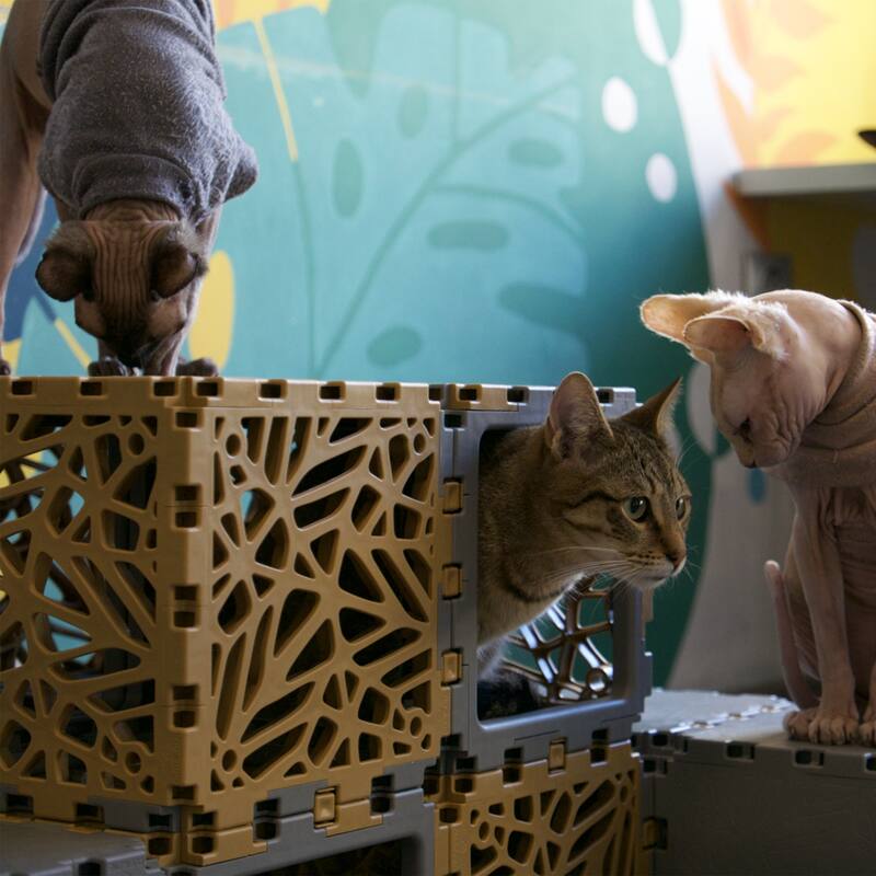 Void Modular Cube – 10-Cube Set