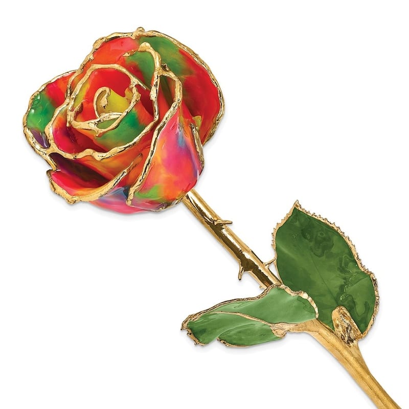 Curata Lacquer Dipped Gold Trimmed Aurora Neon Rainbow Real Rose