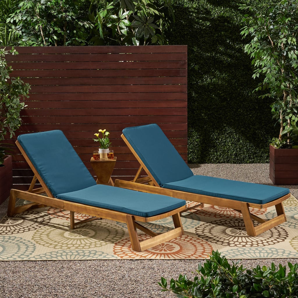 Nadine Chaise Lounge Cushions ONLY (Set of 2) by Christopher Knight Home