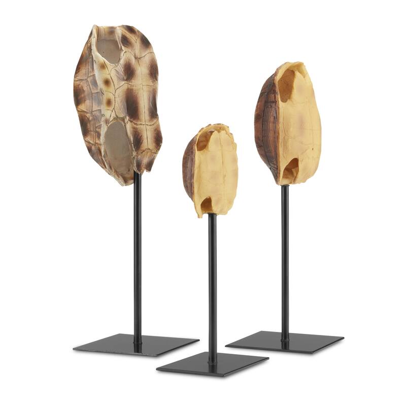Currey & Company Turtle Shells Set of 3 Bed Bath & Beyond 37053587