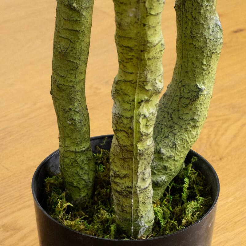 6-ft UV Resistant Artificial Bird Nest Fern Tree (Indoor/Outdoor) - Green