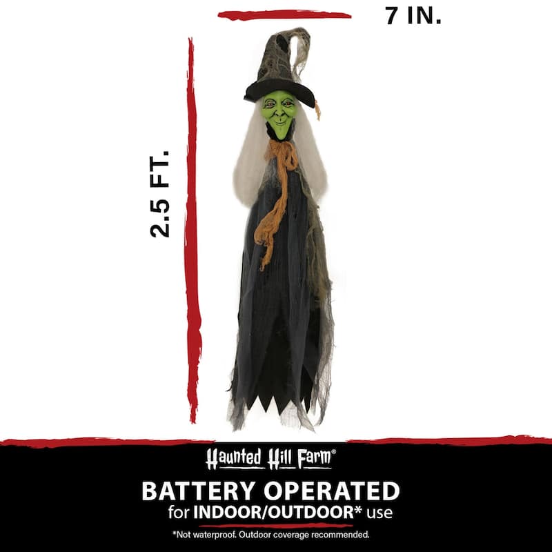 Haunted Hill Farm 2.5-ft. Staked Witch, Indoor/Covered Outdoor Halloween Decoration, LED Red Eyes, Battery-Operated