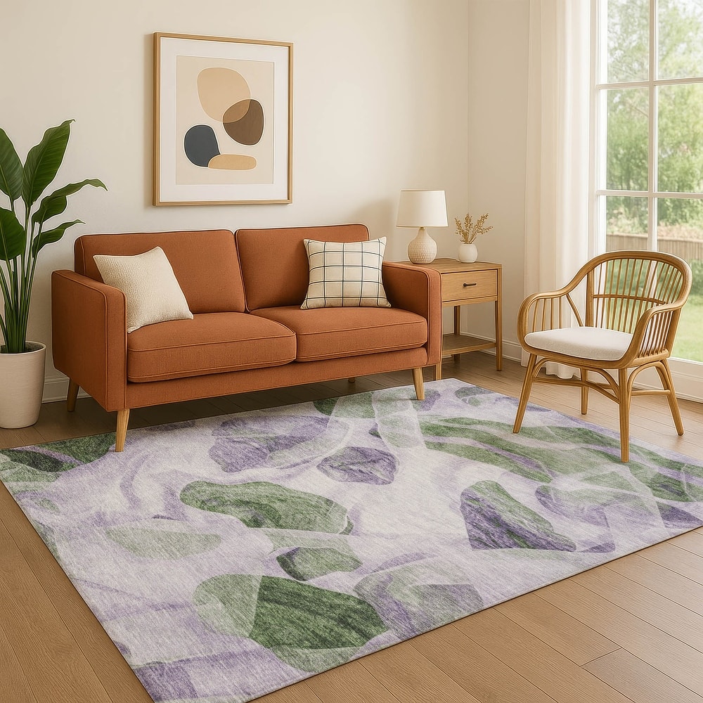 Premium Washable Super Soft Contemporary Jenna Mayfield Rug