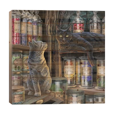 Magical Emporium Print On Wood by Lisa Parker - Multi-Color