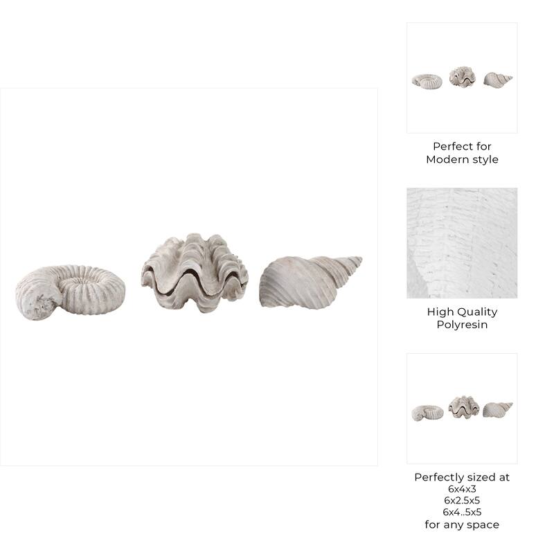 Polyresin Sculpture Coastal Shell Design (Set of 3) - 5/3" Ivory - 6.25" x 4.5" x 4.75"