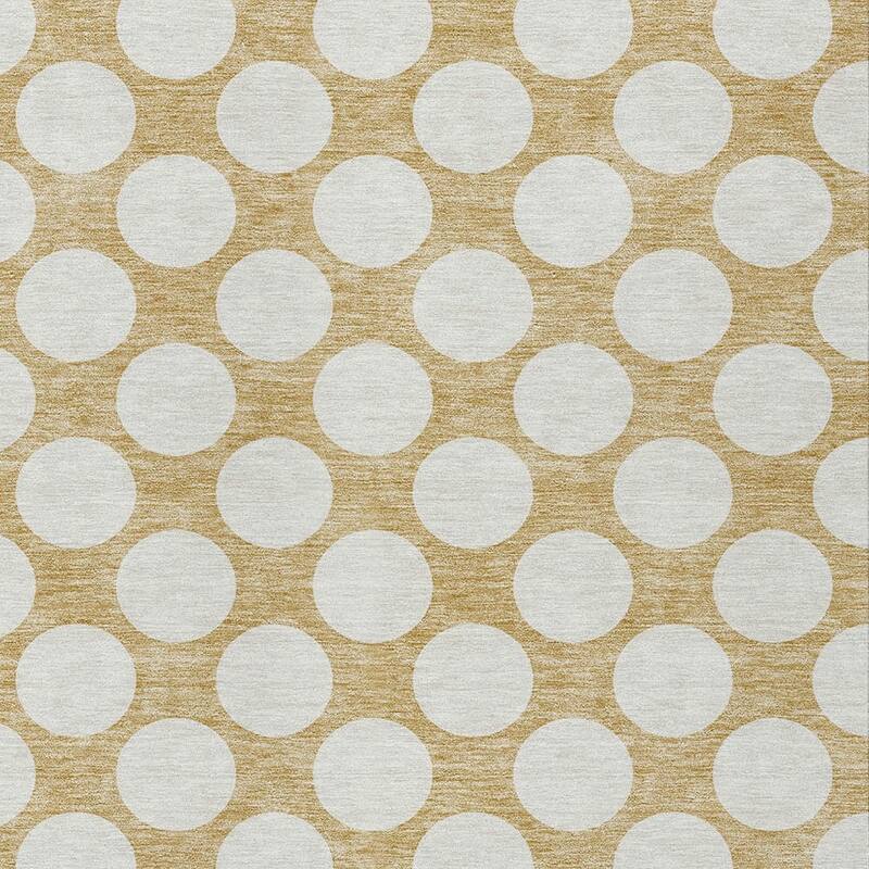 HomeRoots Polka Dot Transitional Rectangle Outdoor Rug