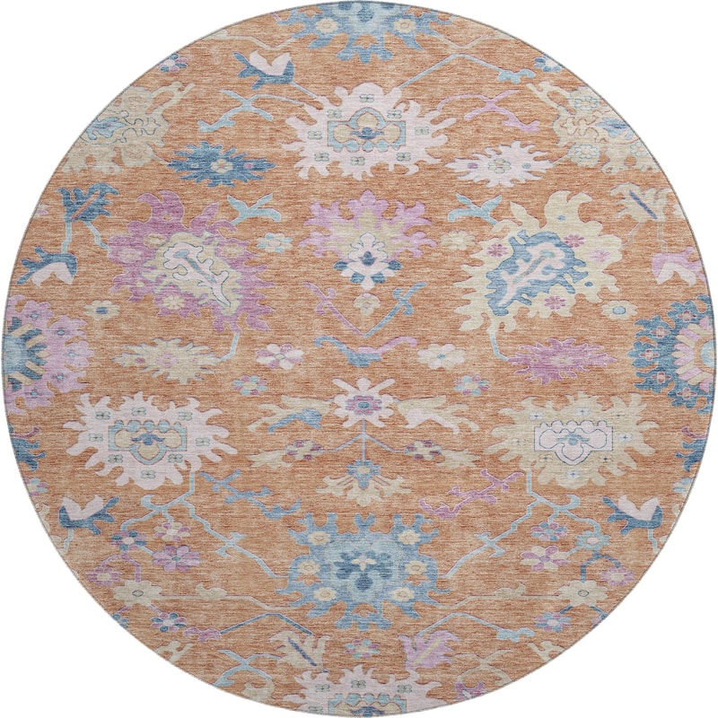Premium Washable Super Soft Traditional Farmhouse Mayfield Rug