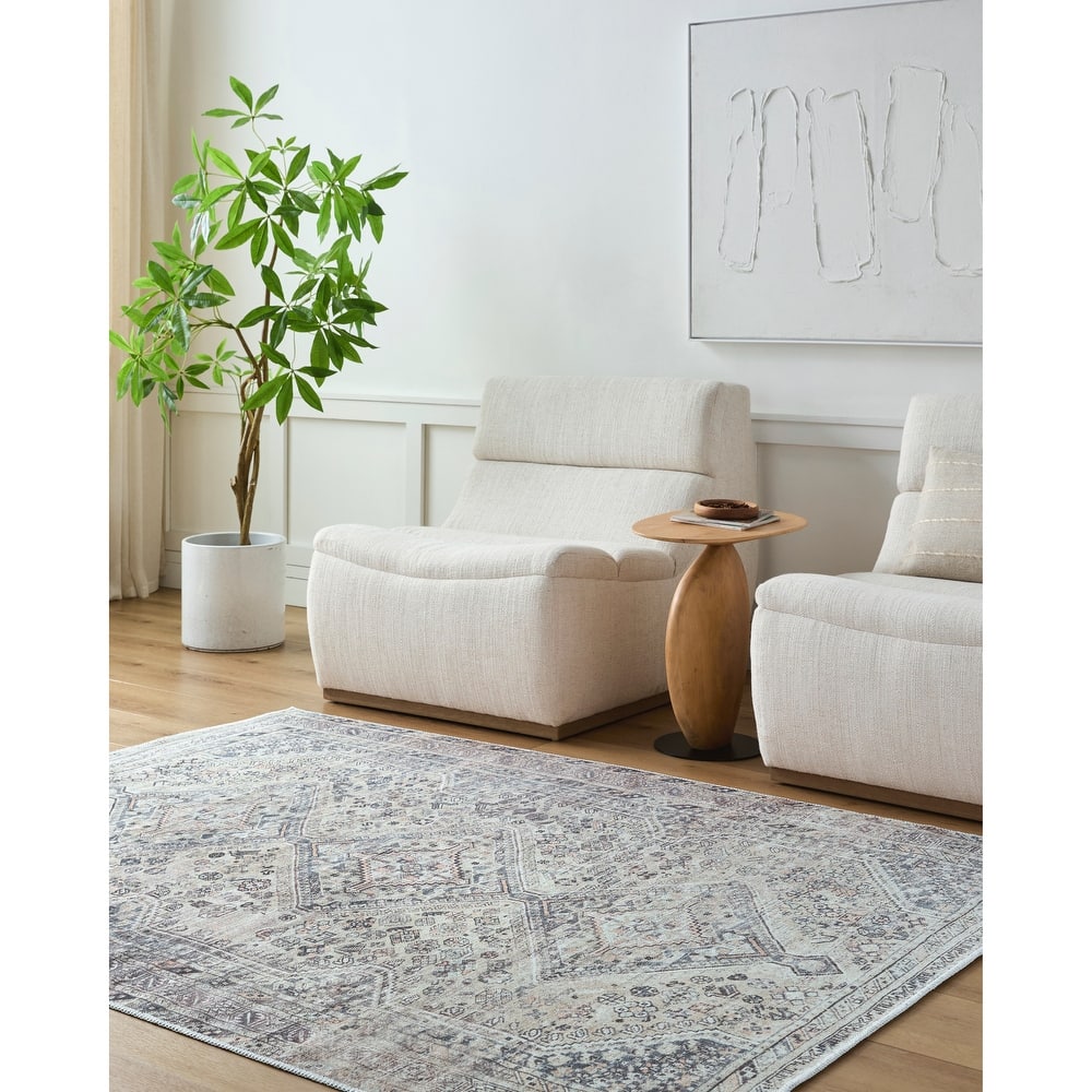 Livabliss x Vivir Eleni Vintage Washable Area Rug