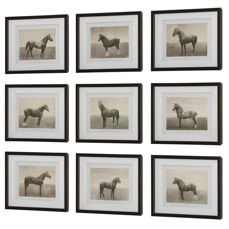 Uttermost Equine Dynasty Framed Prints, Set of 9