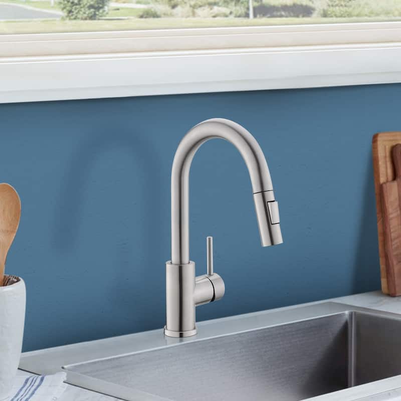 Topcraft Single Handle Stainless Steel Bar Faucet with Sprayer