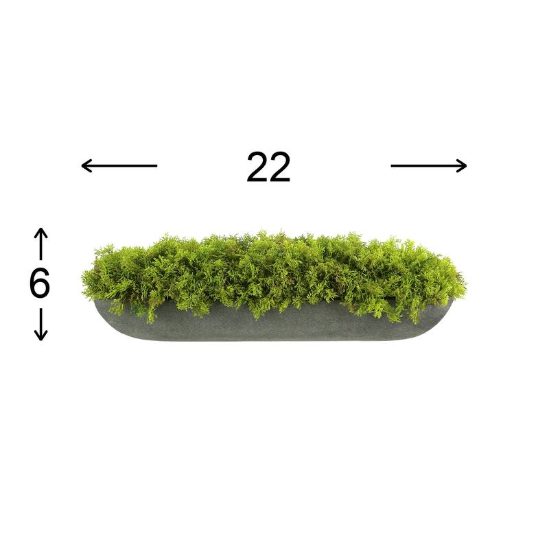 Moss Arrangement in Fiberstone Planter - Green