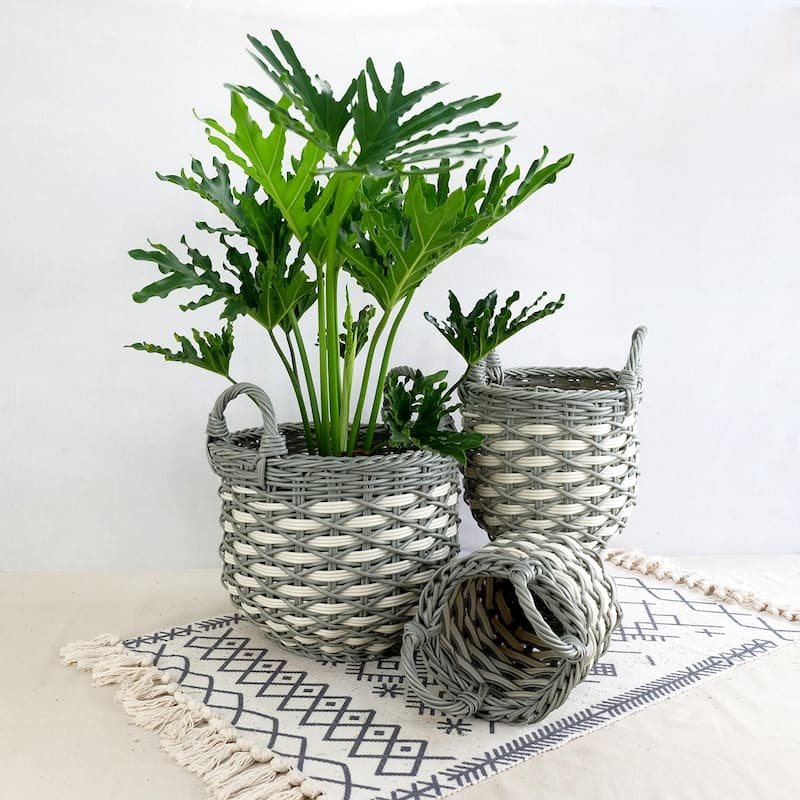 DTY Signature Wicker Baskets