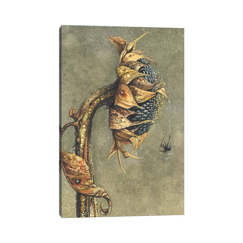 iCanvas "Along Came A Spider" by Maggie Vandewalle Canvas Print