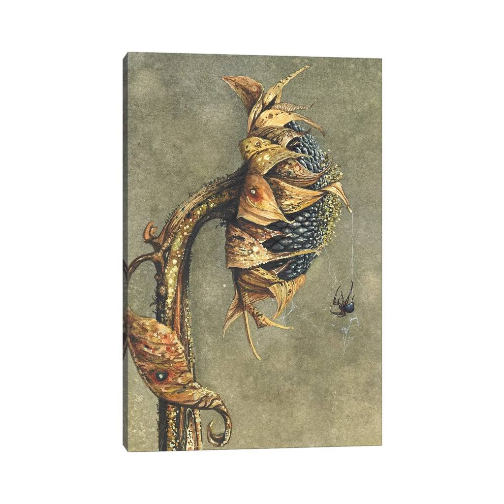 iCanvas "Along Came A Spider" by Maggie Vandewalle Canvas Print