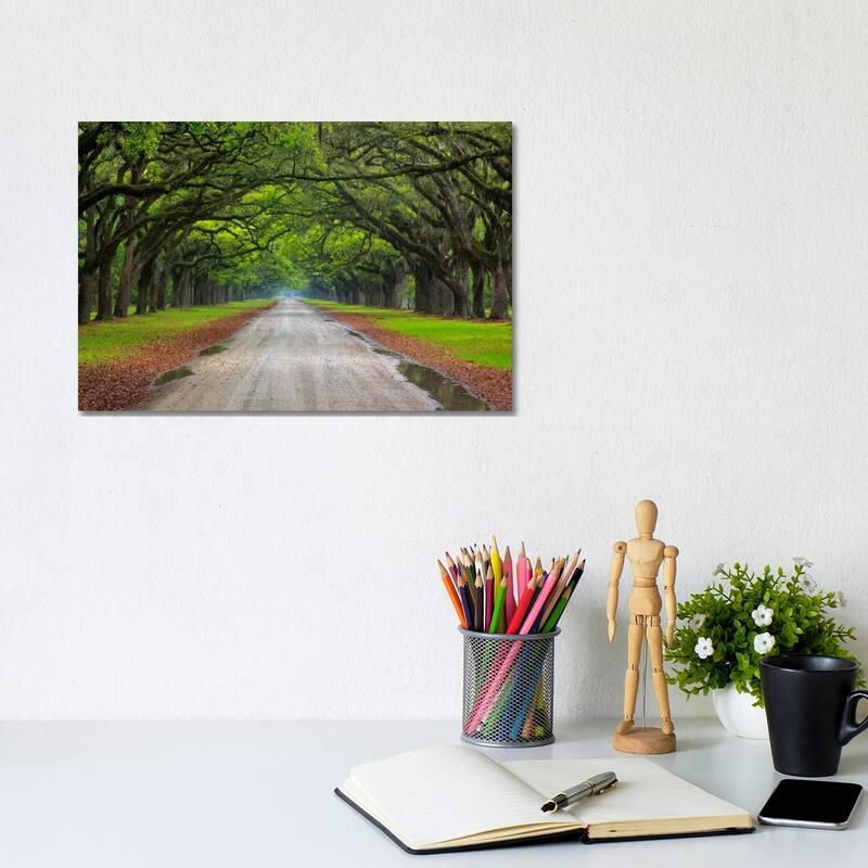 iCanvas "Oak Avenue, Wormsloe Plantation, Savannah, Georgia, USA" by Joanne Wells Canvas Print - 8x12x0.75