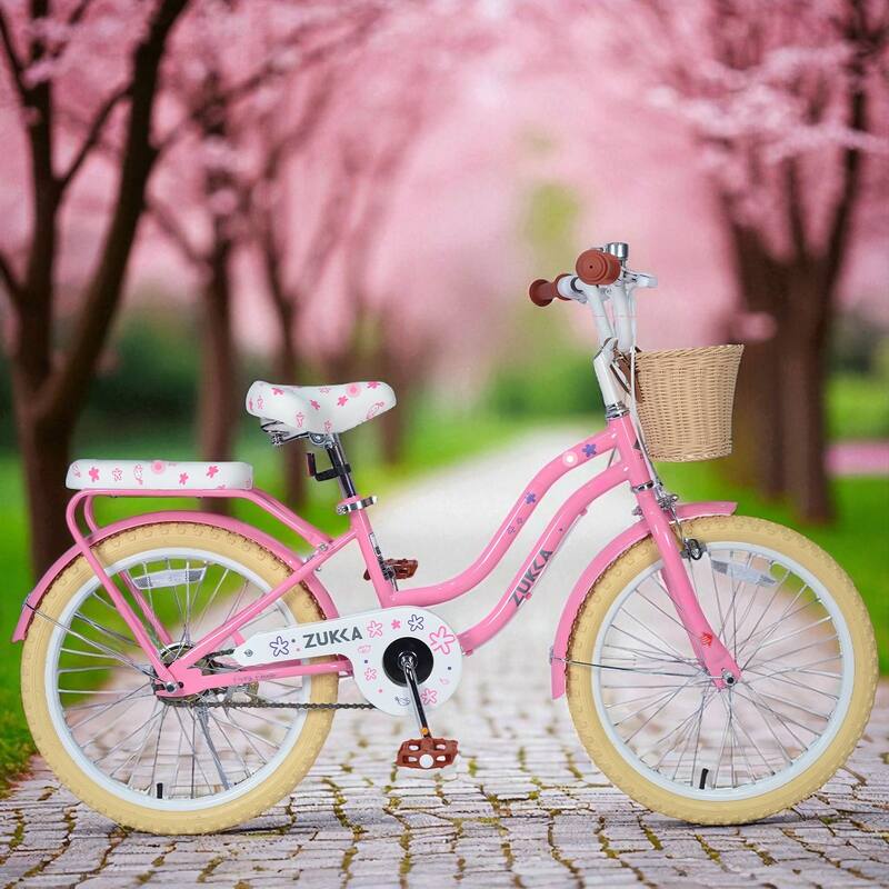 Girls 20 Inch Bike with Basket, Steel Frame, Front & Rear Brakes, For Kids Ages 7-10, No Training Wheels