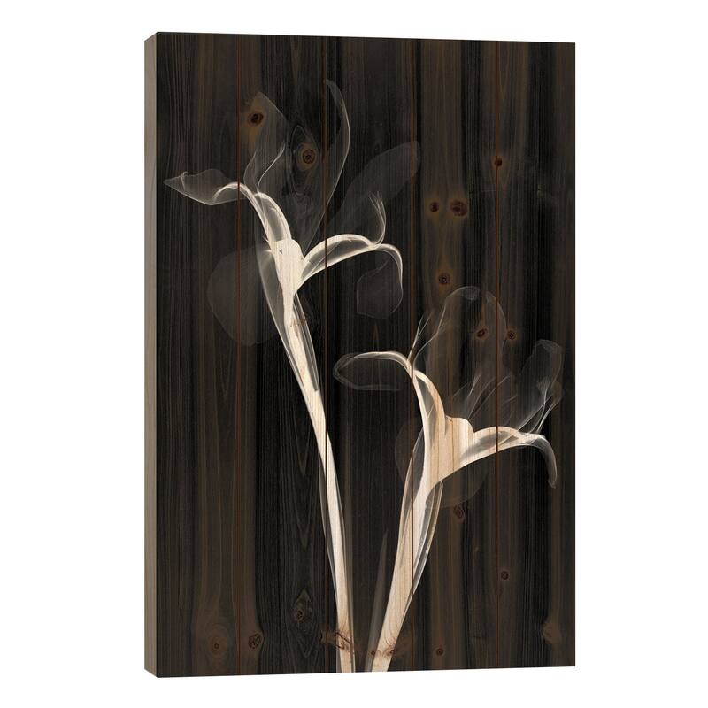 Two Irises II Print On Wood by Hong Pham - Multi-Color - 40x26x1.5