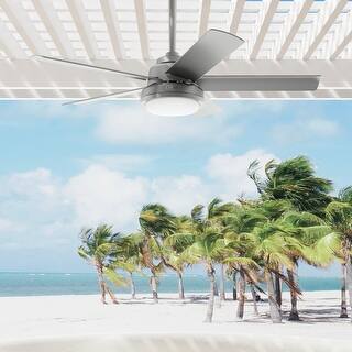 Hunter 52" Seawall Outdoor Ceiling Fan with LED Light Kit, Wall Control - Wet Rated!