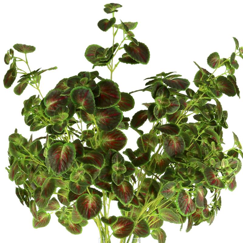 Organic Modern Mint Leaves Arranged in a Clear Glass Vase - Green