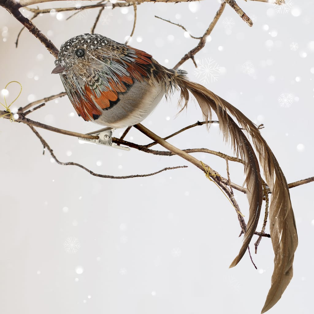 8" Natural Feather Bird Ornament Set of 4