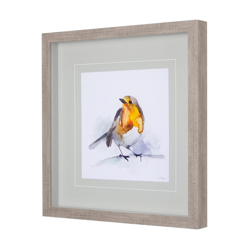 Robin IV Framed Art Print