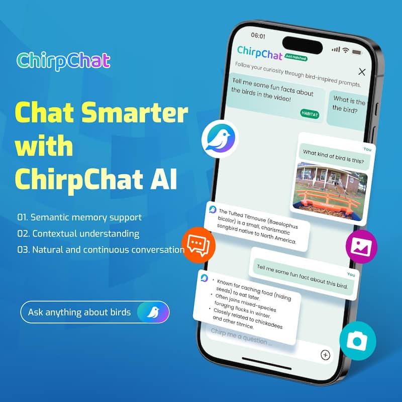 Smart Hummingbird Feeder with Camera Solar Powered