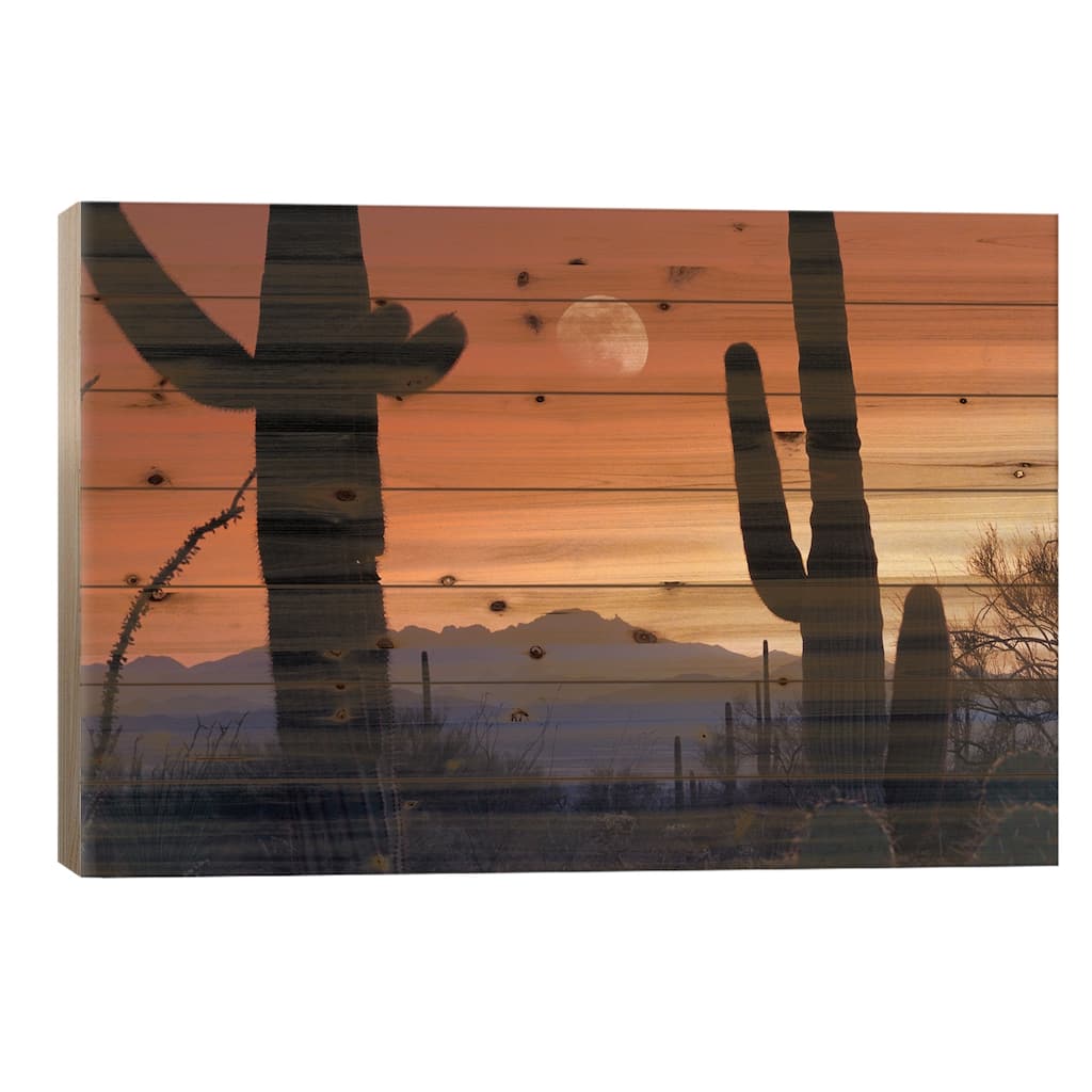 Kitt Peak Under Moon From Saguaro National Monument, Arizona. Print On Wood by Tim Fitzharris - Multi-Color