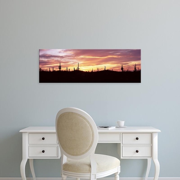 Easy Art Prints Panoramic Image 'Saguaro cacti on a landscape, Saguaro National Park, Tucson, Arizona' Canvas Art