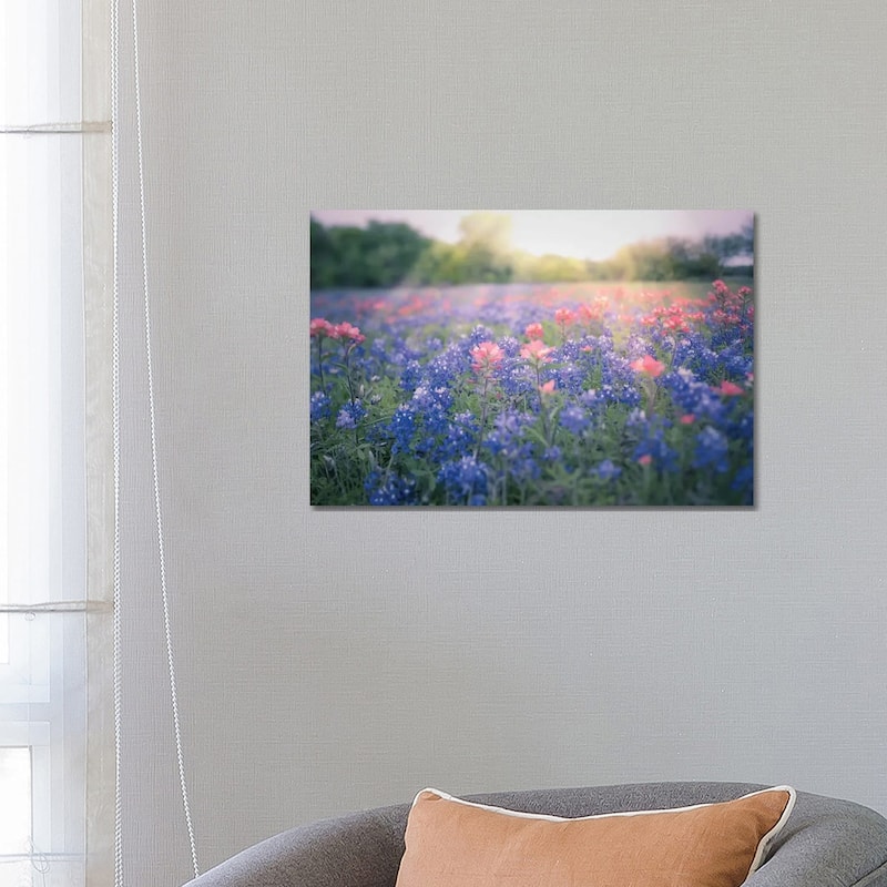 iCanvas "Texas Bluebonnets" by Ann Hudec Canvas Print - 18x26x1.5