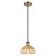 Option Brushed Brass