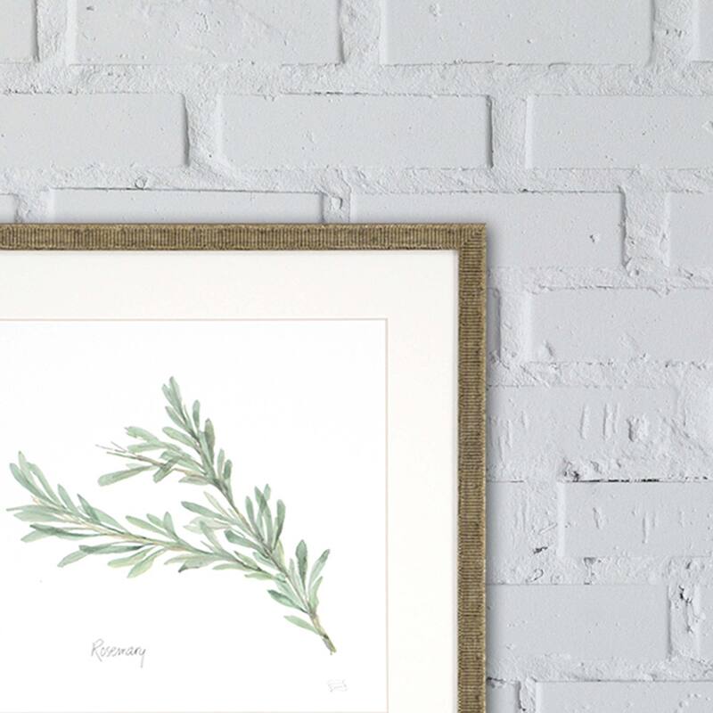 Herbs S/4 Framed Art Under Glass - Green