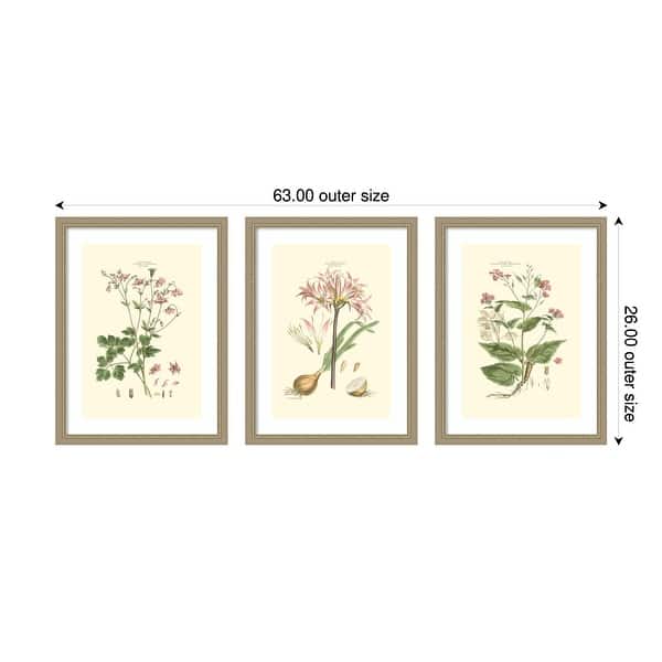 Small Blushing Pink Florals 3 Piece by John Miller Framed Wall Art Prints