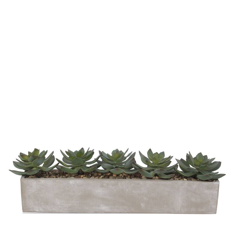 Faux Echeverias with Pebbles Succulent In Rectangular Pot - Green