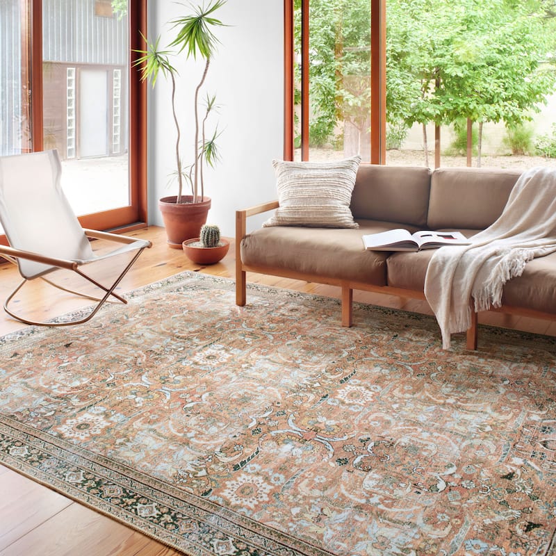 Alexander Home Sophia Printed Botanical Vintage Area Rug
