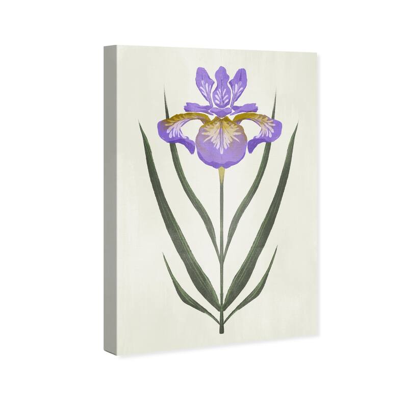 Wynwood Studio Canvas Floral and Botanical A Pretty Flower Purple and Dark Green Modern & Contemporary Wall Art Canvas Print