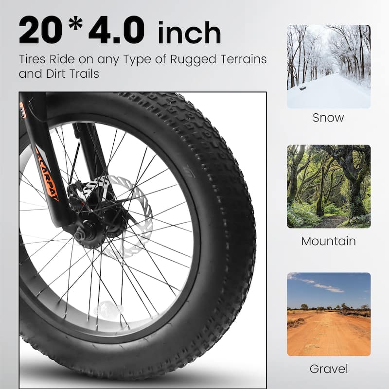 Adult/Youth Fat Tire Bike - Shimano Gears, Dual Disc Brakes, Front Suspension, Steel Frame, Commuter/Trail Use - 20