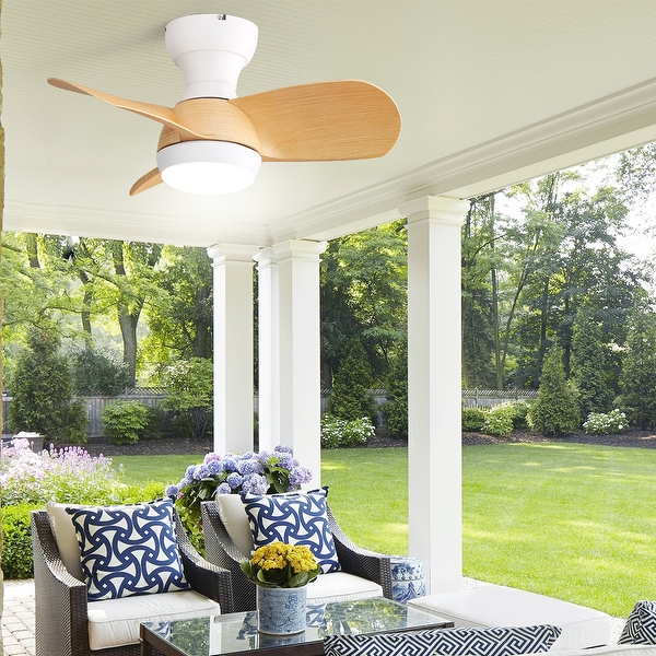 Ceiling fan with shade best sale