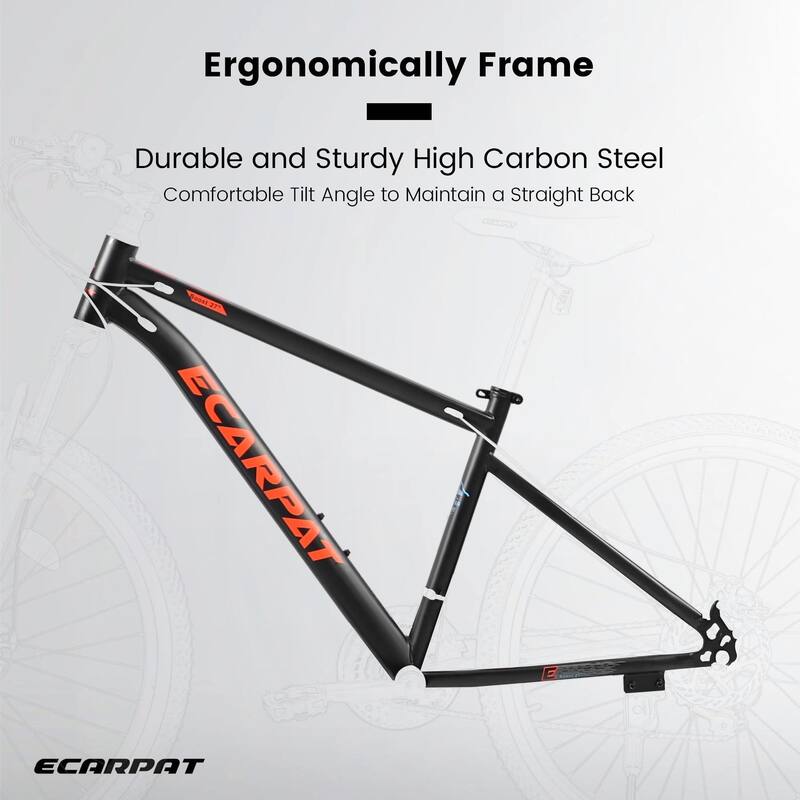 24-Inch Mountain Bike for Teenagers - High Carbon Steel Frame, Disc Brakes, Durable Design