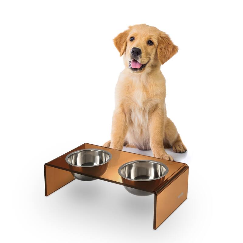 Keaton 5" Small/Medium Modern Lucite Rectangular Elevated Pet Feeder with 20oz 2-Stainless Steel Bowls - Amber/Chrome