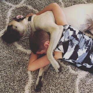 Safavieh Handmade Dip Dye Pamala Vintage Wool Rug