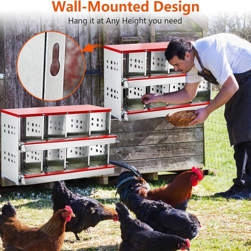 8-Hole Wall-Mounted Metal Chicken Nests Boxes Laying Eggs