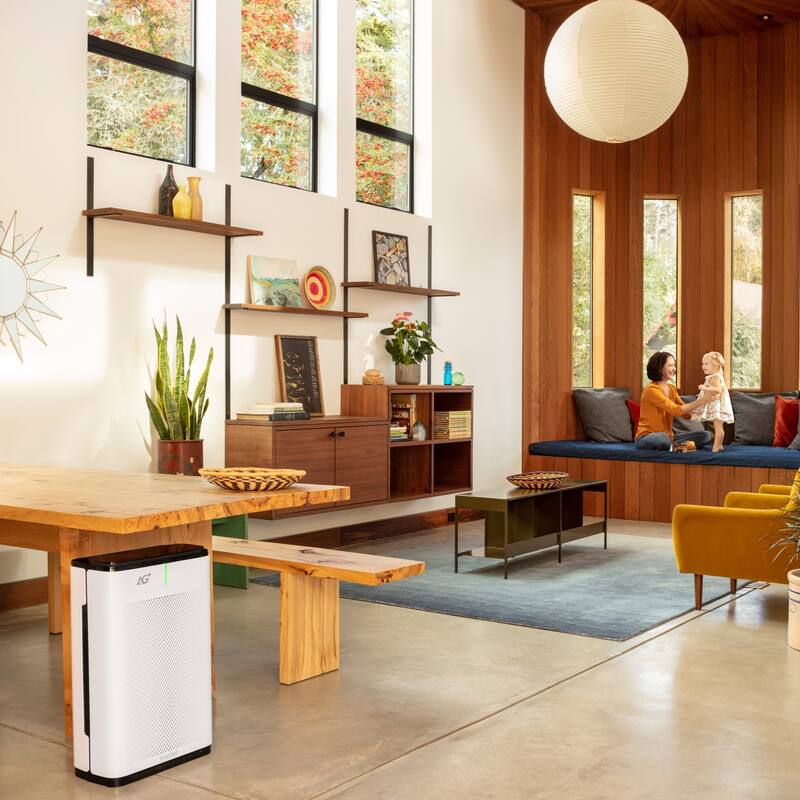 Brondell Pro Air Purifier with AG Technology P700