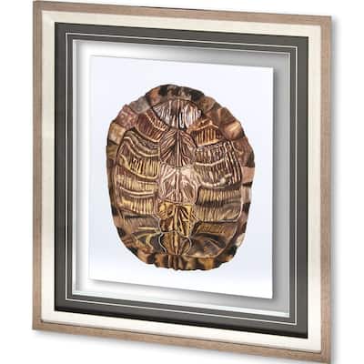 Tortoise Shell Detail I Framed Art Print