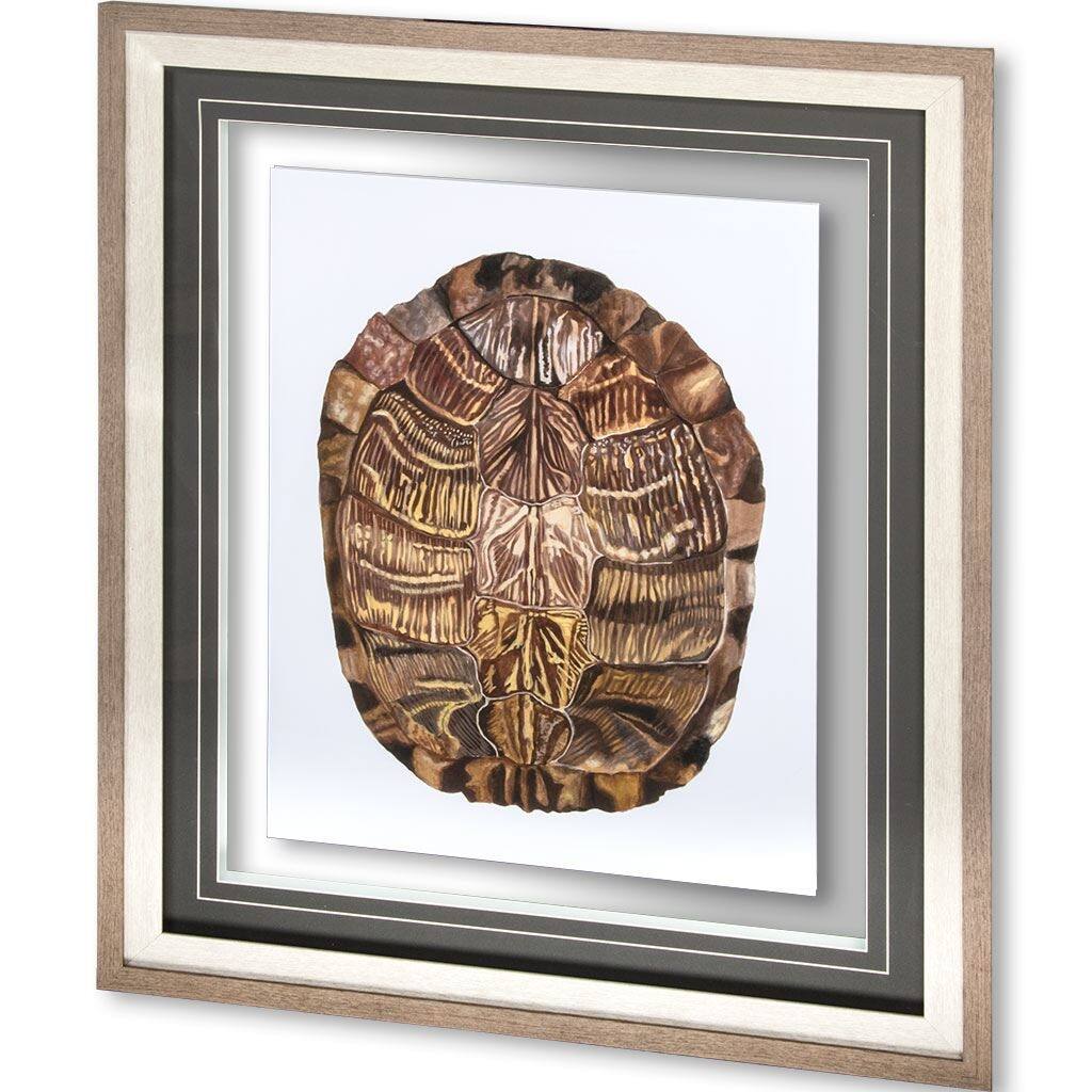 Tortoise Shell Detail I Framed Art Print