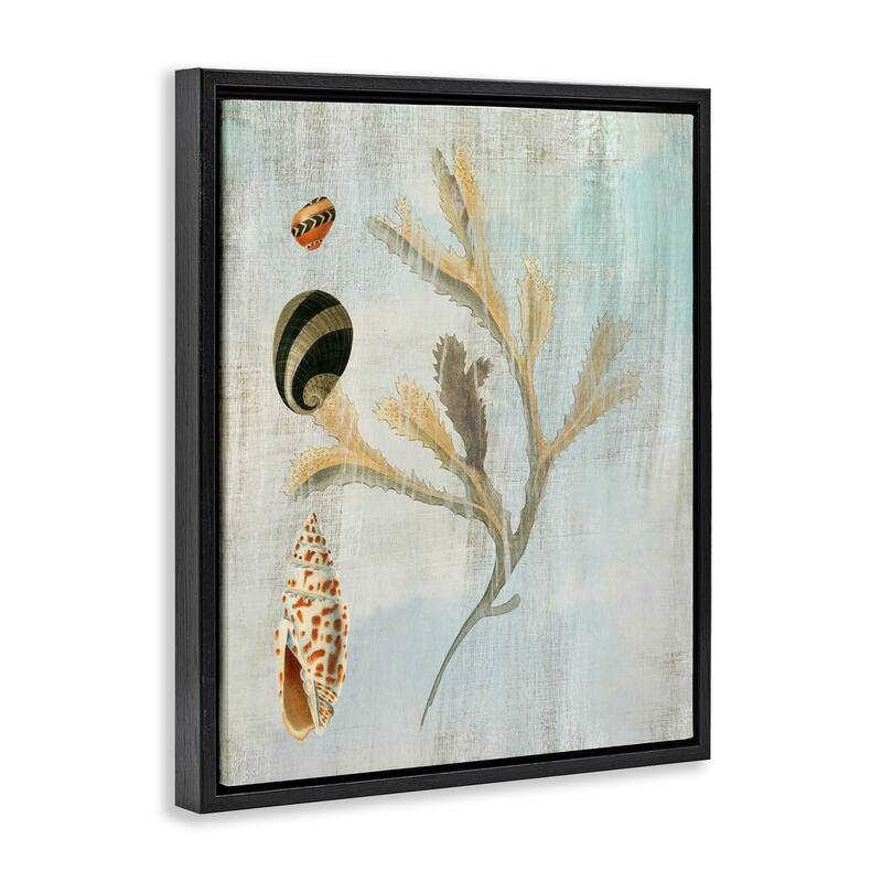 Stupell Mixed Seashells & Coral Framed Floater Canvas Wall Art Design By Susan Arnot