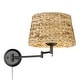 Wry Lighting Eleanor 1-light Swing Arm Wall Lamp in Matte Black and ...