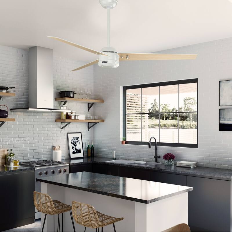 Hunter 60" Cassius ENERGY STAR® Ceiling Fan and Wall Control - Damp Rated - Farmhouse, Transitional, Industrial, Casual