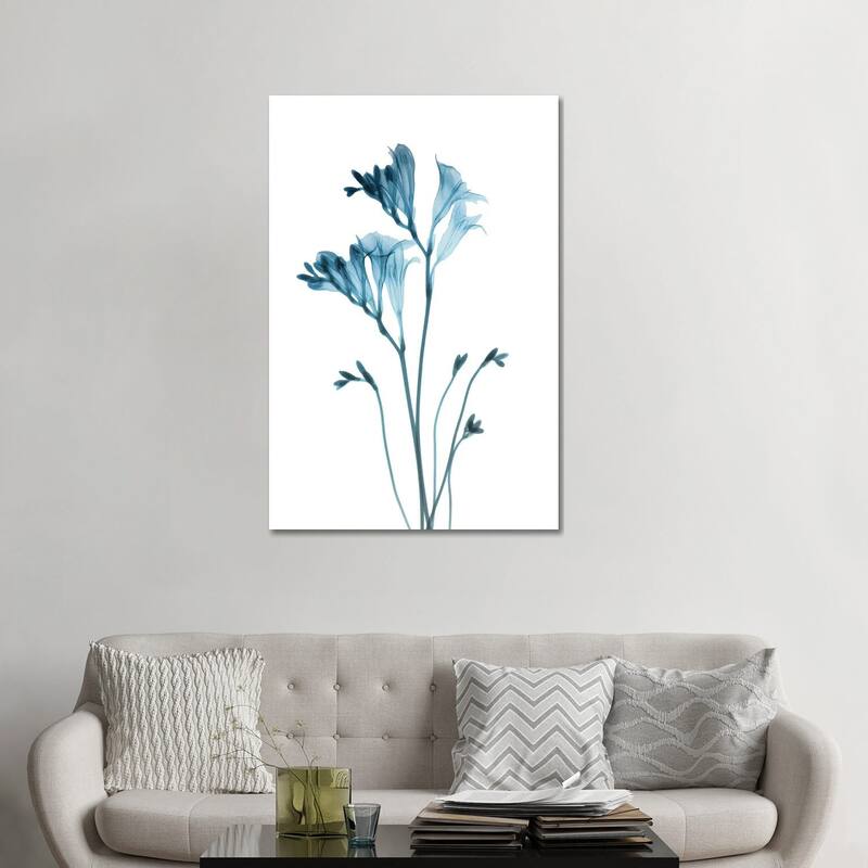 iCanvas "Blue Freesia" by Albert Koetsier Canvas Print - 48x32x1.5