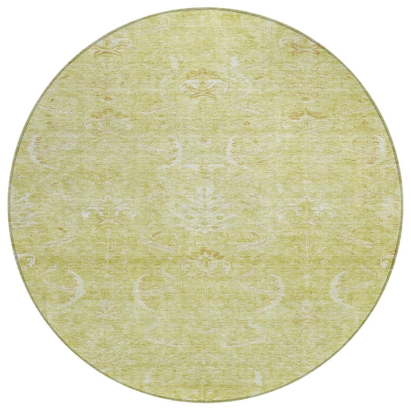 Machine Washable Indoor/ Outdoor Boho Traditional Chantille Rug
